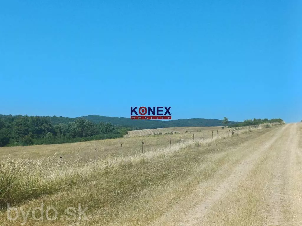 NA PREDAJ - Poľnohospodárske a lesné pozemky Vranov nad Topľou, 154121_3