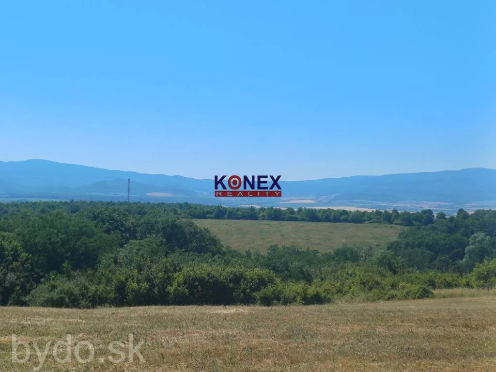 NA PREDAJ - Poľnohospodárske a lesné pozemky Vranov nad Topľou, 154121_5