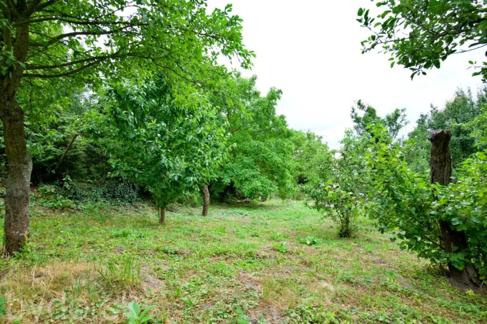 Rodinný dom na predaj 240m2, Mäsiarska , Nižná Myšľa, 156200_36