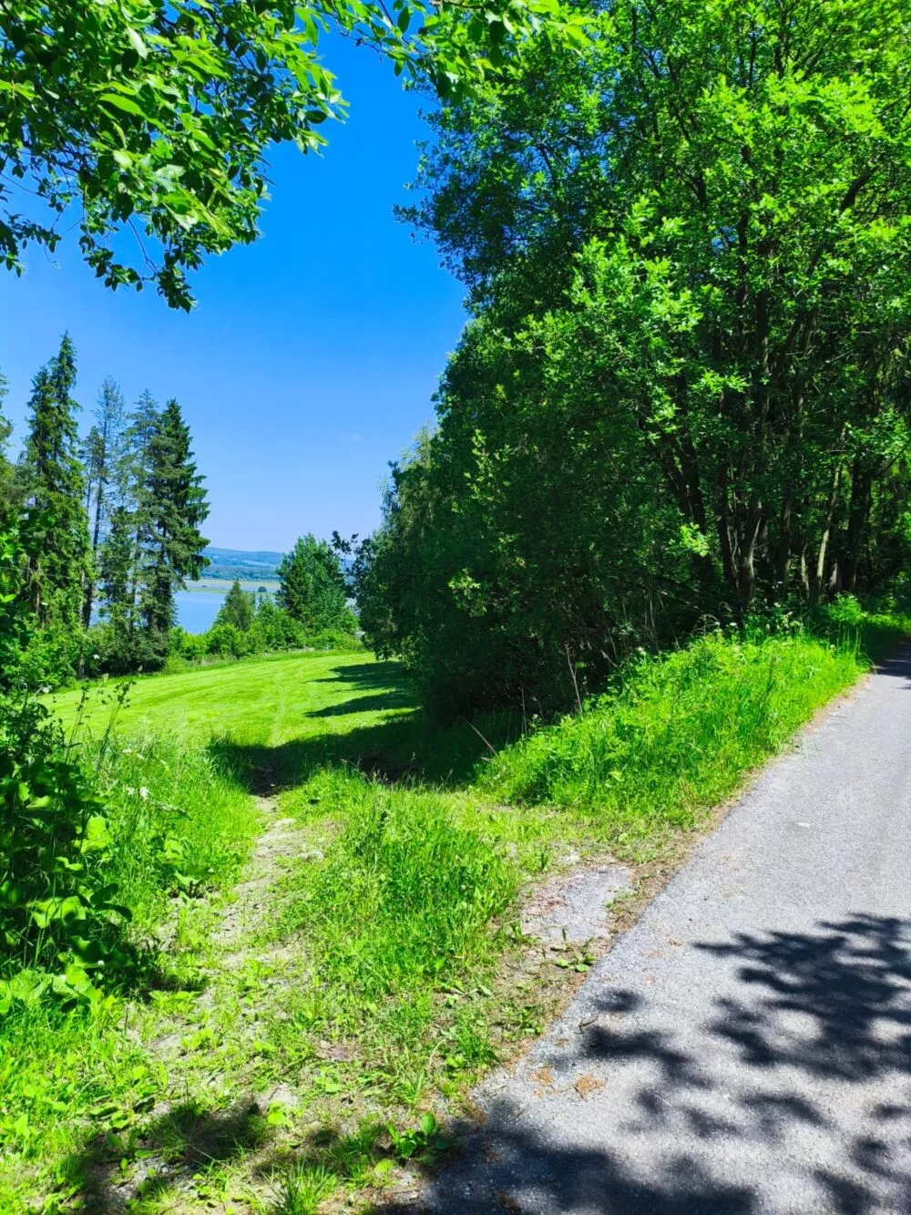 Chata a chalupa na predaj, Slanická osada, Námestovo, 156401_39