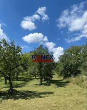 NA PREDAJ – Rekreačný pozemok – záhrada - Sečovce, 156955_2