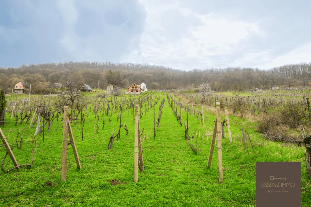 Rodinný dom na predaj 160m2, Vinica, 157185_2