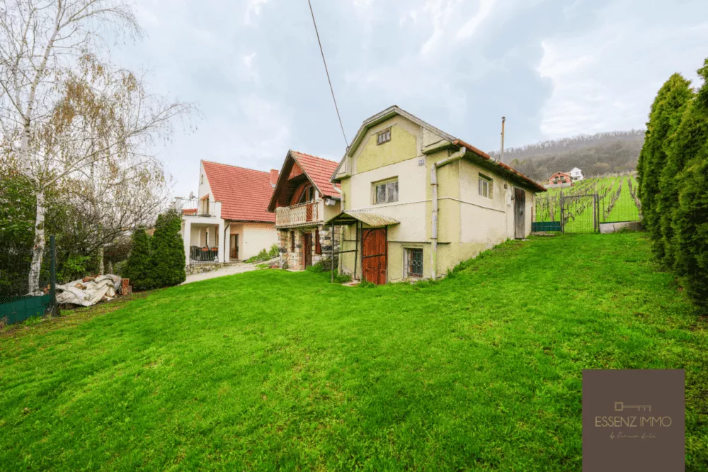 Rodinný dom na predaj 160m2, Vinica, 157185_12