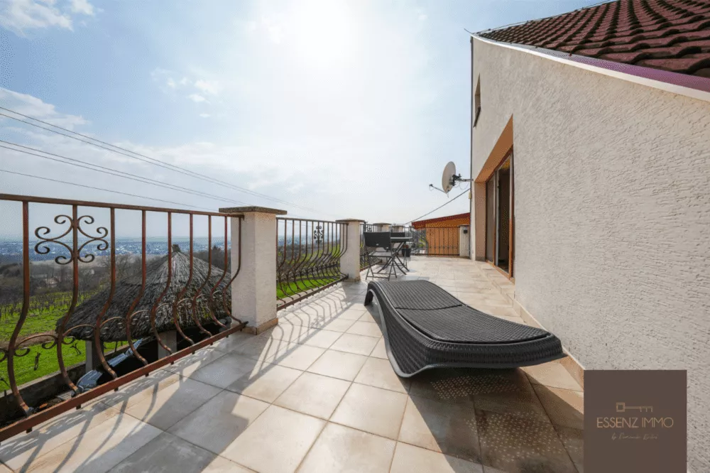 Rodinný dom na predaj 160m2, Vinica, 157185_42