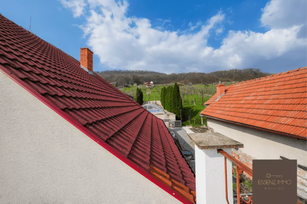 Rodinný dom na predaj 160m2, Vinica, 157185_43