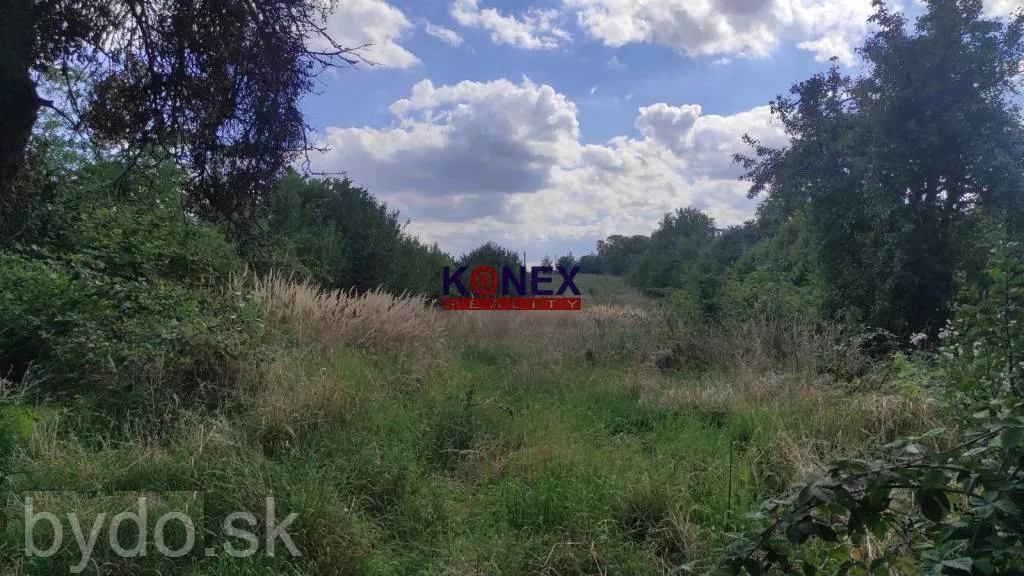 NA PREDAJ! Dom s rozľahlým pozemkom - Veľaty, 157529_1