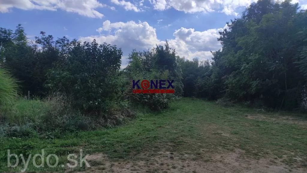 NA PREDAJ! Dom s rozľahlým pozemkom - Veľaty, 157529_2