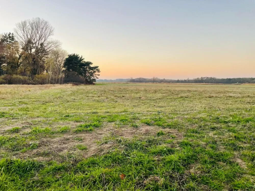 Orná pôda na predaj, Stará signálka, Malé Leváre, 162848_0