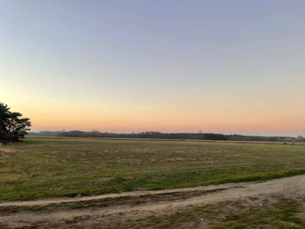 Orná pôda na predaj, Stará signálka, Malé Leváre, 162848_1