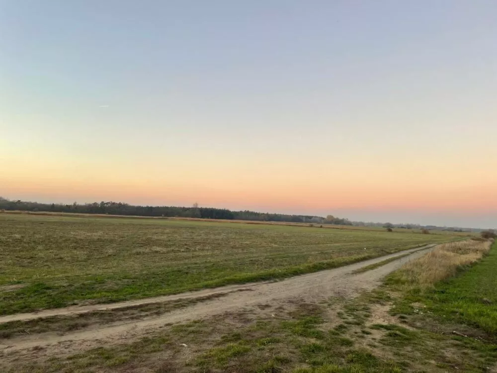 Orná pôda na predaj, Stará signálka, Malé Leváre, 162848_2