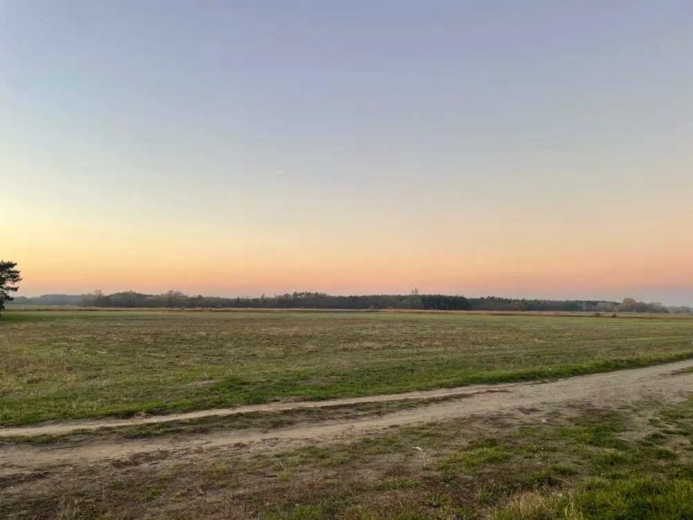 Orná pôda na predaj, Stará signálka, Malé Leváre, 162848_3