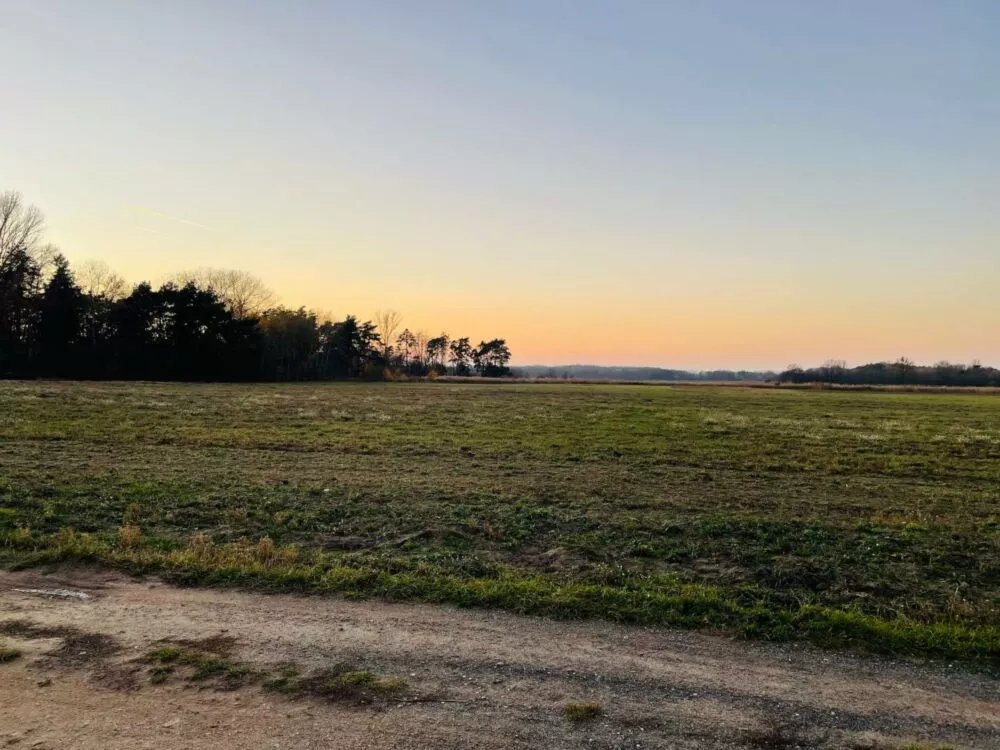 Orná pôda na predaj, Stará signálka, Malé Leváre, 162848_4