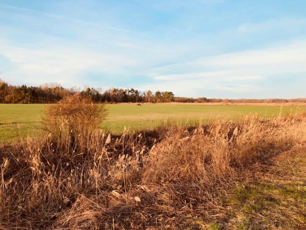Orná pôda na predaj, Stará signálka, Malé Leváre, 162848_5