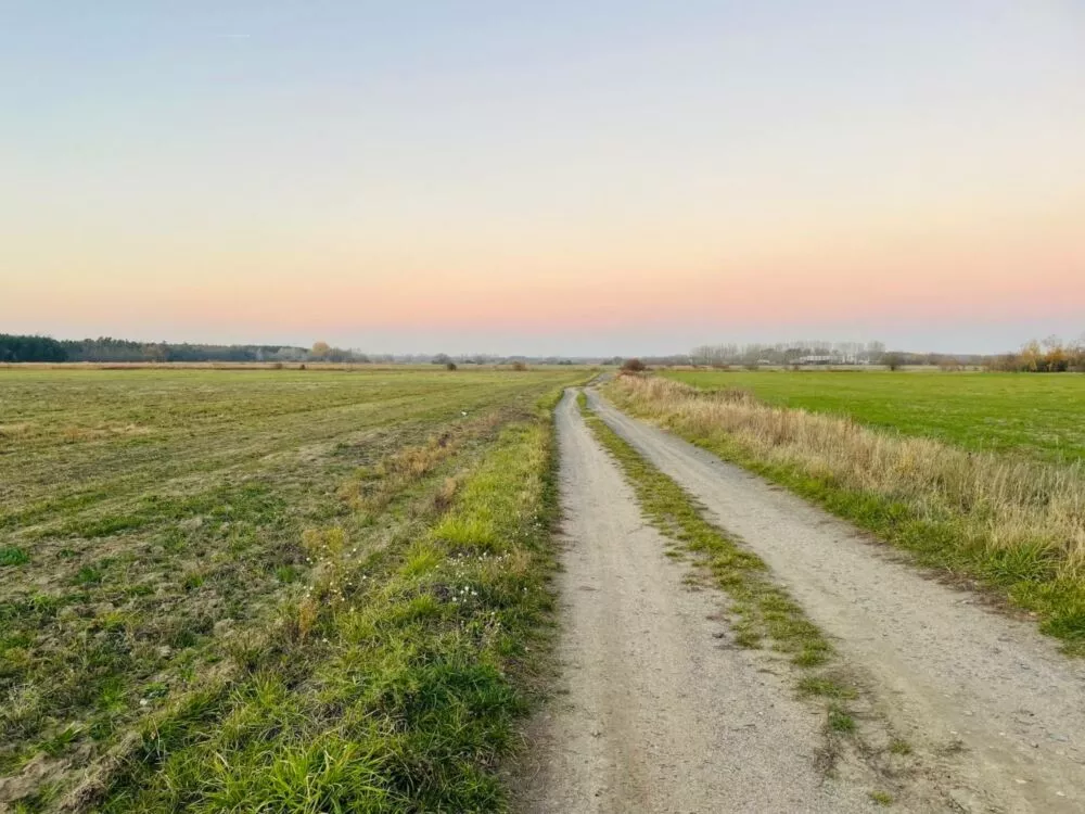 Orná pôda na predaj, Stará signálka, Malé Leváre, 162848_6