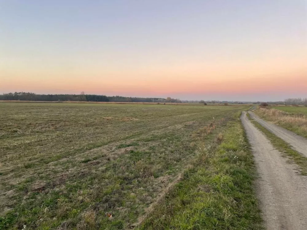 Orná pôda na predaj, Stará signálka, Malé Leváre, 162848_7