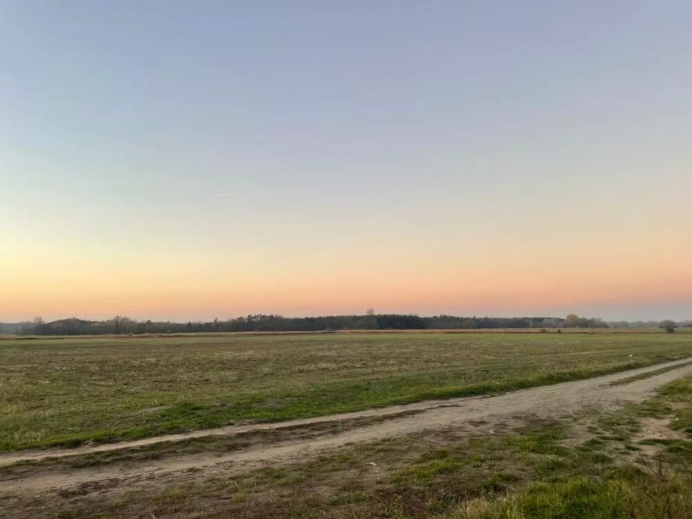 Orná pôda na predaj, Stará signálka, Malé Leváre, 162848_8