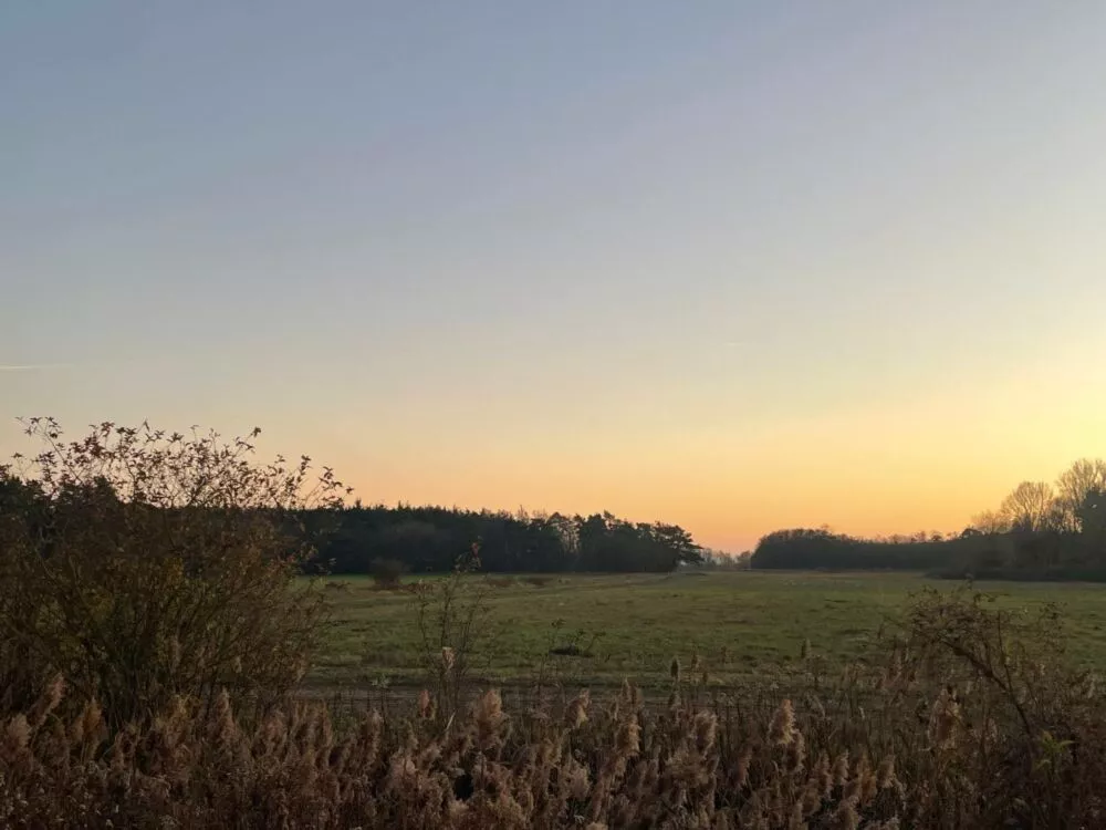 Orná pôda na predaj, Stará signálka, Malé Leváre, 162848_10