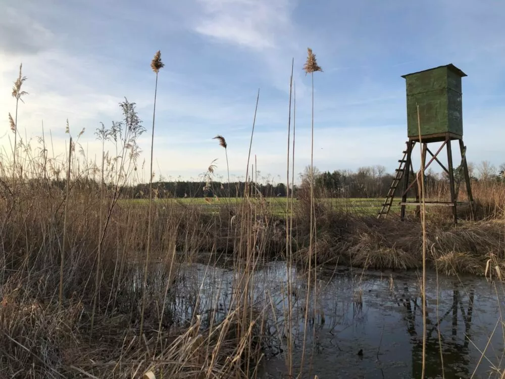 Orná pôda na predaj, Stará signálka, Malé Leváre, 162848_12