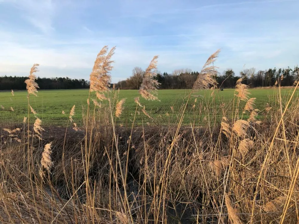 Orná pôda na predaj, Stará signálka, Malé Leváre, 162848_13