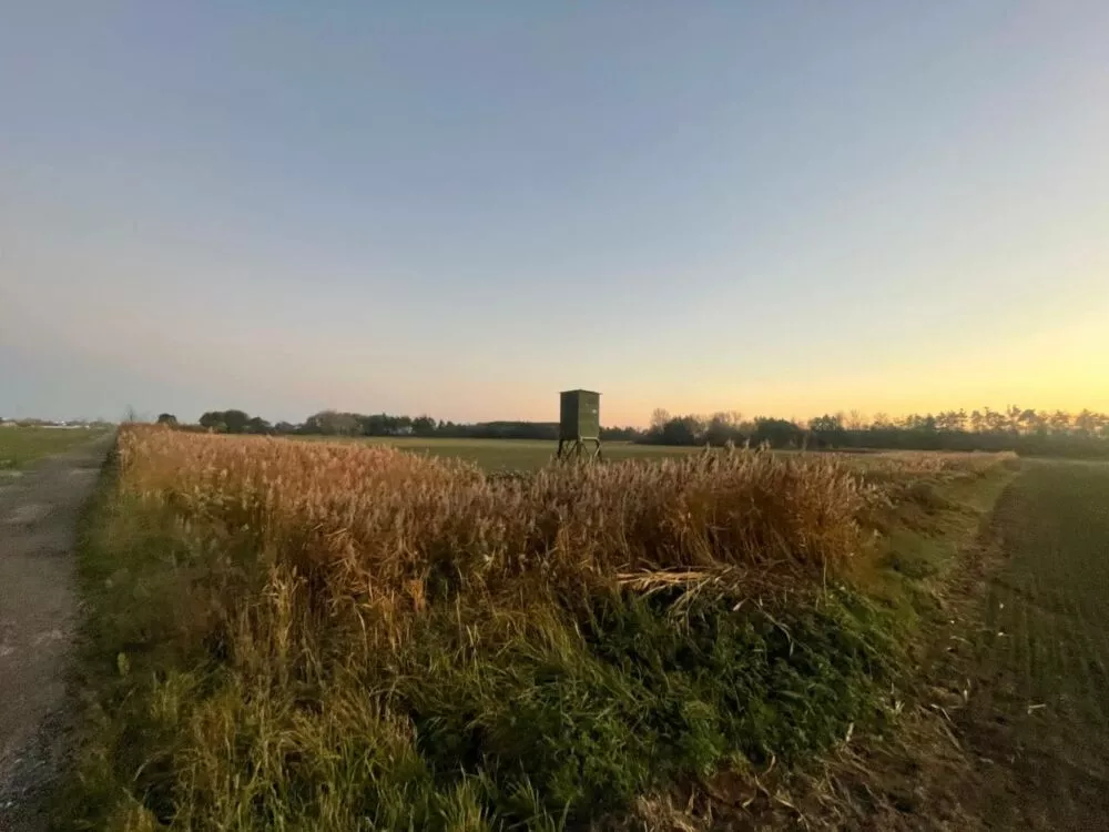 Orná pôda na predaj, Stará signálka, Malé Leváre, 162848_14