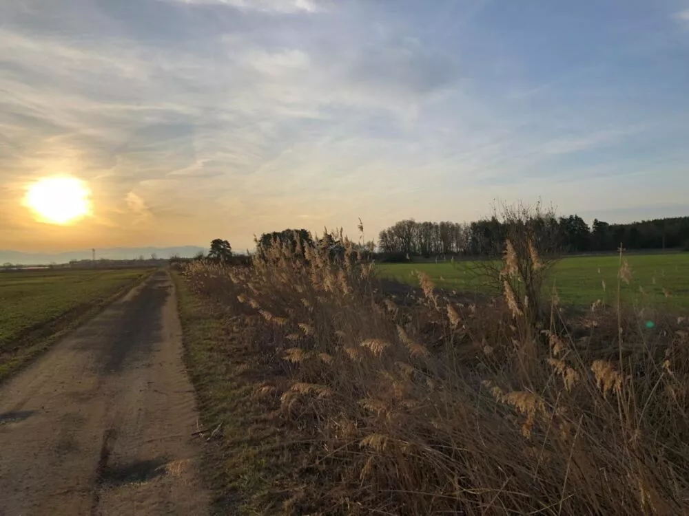 Orná pôda na predaj, Stará signálka, Malé Leváre, 162848_15