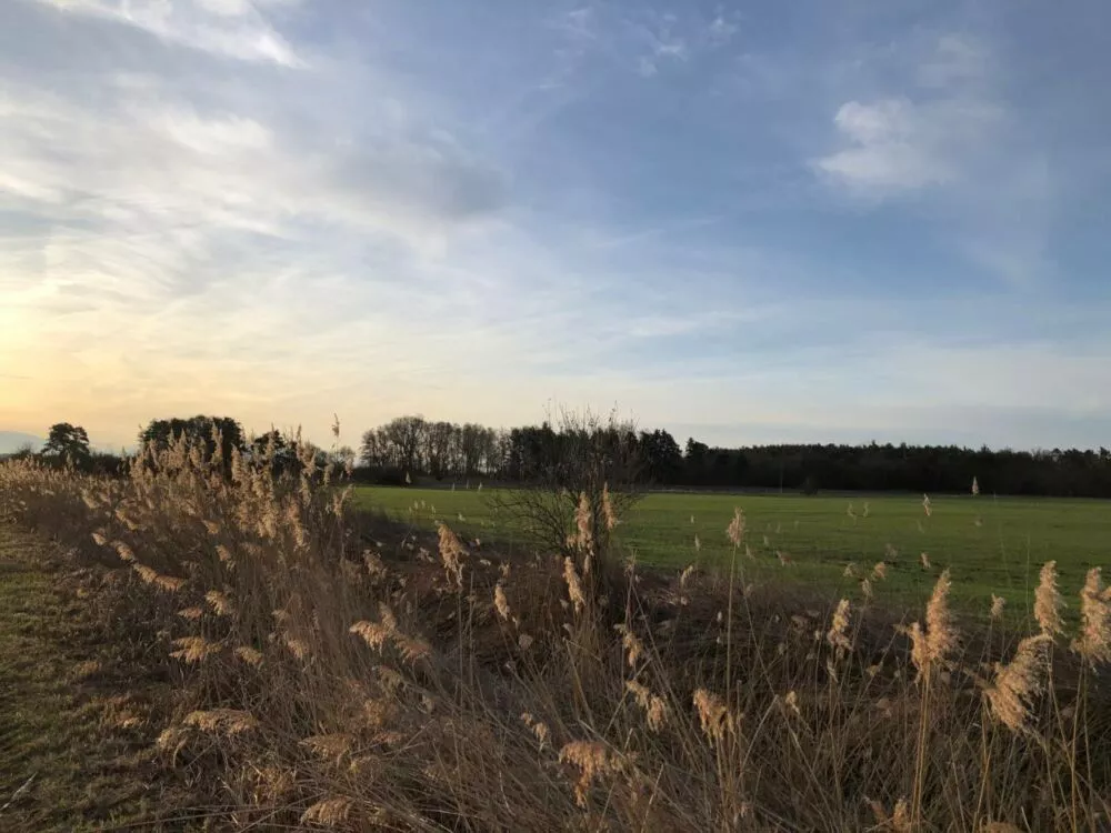 Orná pôda na predaj, Stará signálka, Malé Leváre, 162848_16