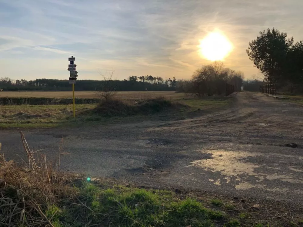 Orná pôda na predaj, Stará signálka, Malé Leváre, 162848_19