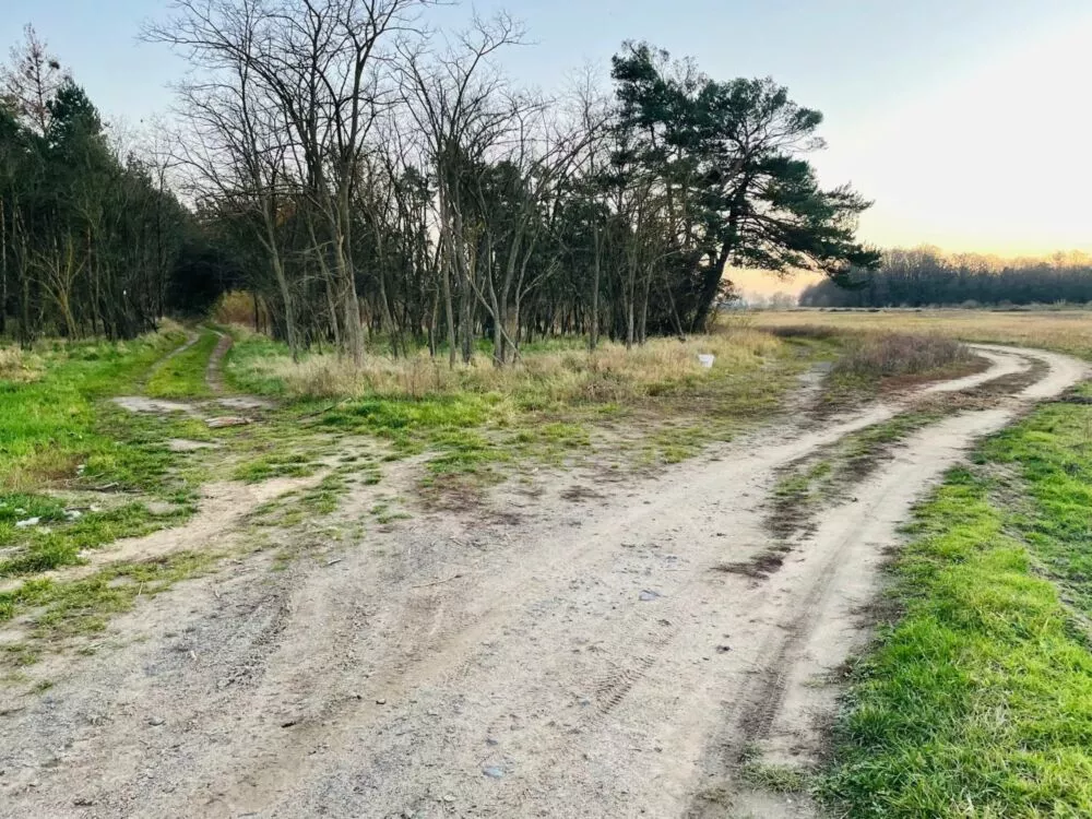 Orná pôda na predaj, Stará signálka, Malé Leváre, 162848_20