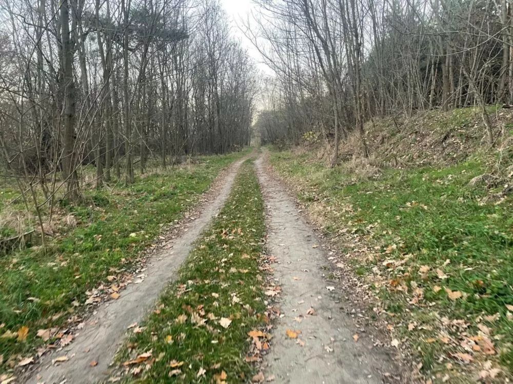 Orná pôda na predaj, Stará signálka, Malé Leváre, 162848_21