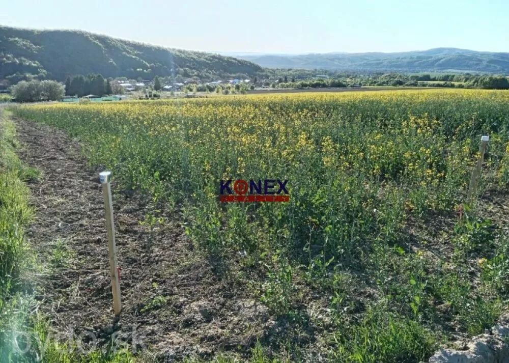 ID-3136 NA PREDAJ Pozemok Zemplínske Hámre, 163202_0