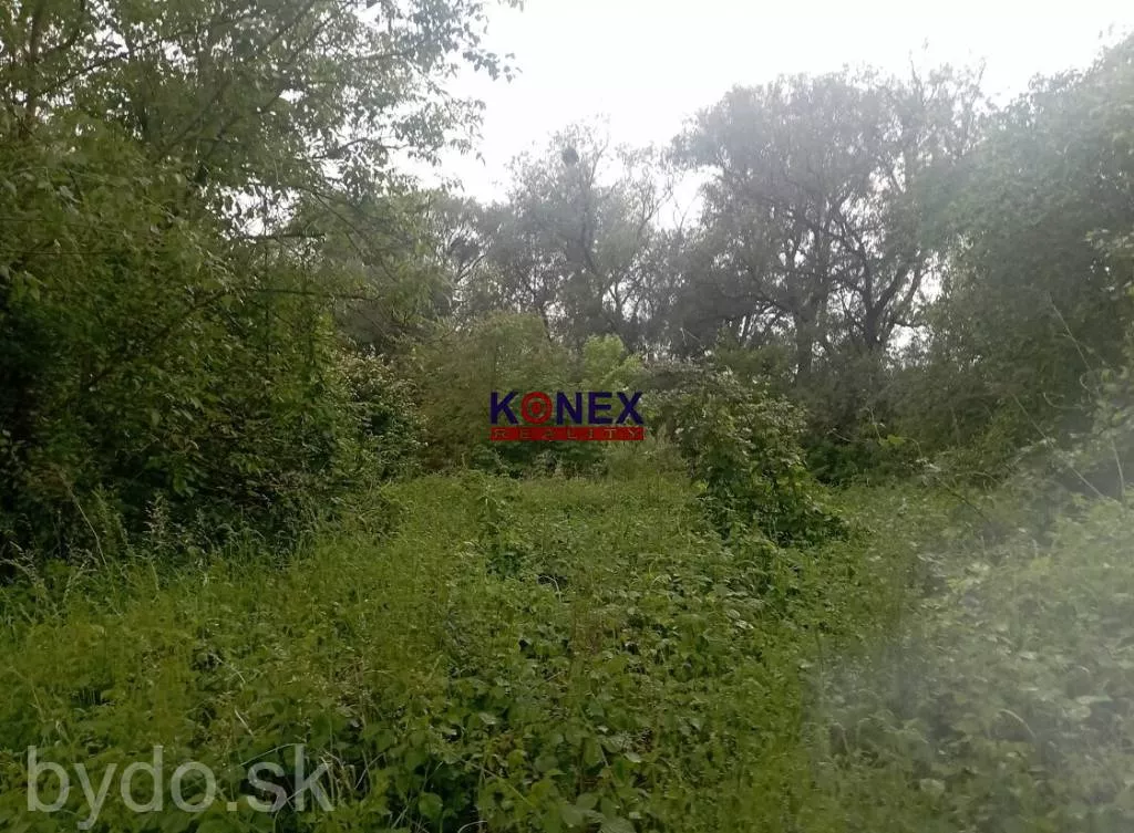 ID 3144 Rekreačný POZEMOK na predaj – Nižná Hutka, 163226_3