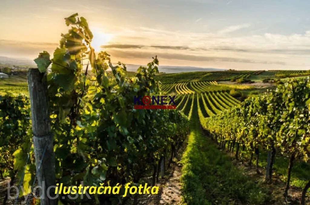 ID-3208 NA PREDAJ –  Vinica v tokajskej oblasti, 163680_0