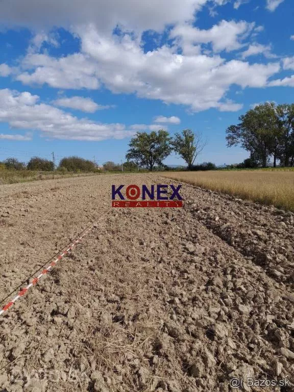 ID-3398 NA PREDAJ – VEĽKÝ POZEMOK S DOMOM V OBCI MOKRANCE, 177327_3