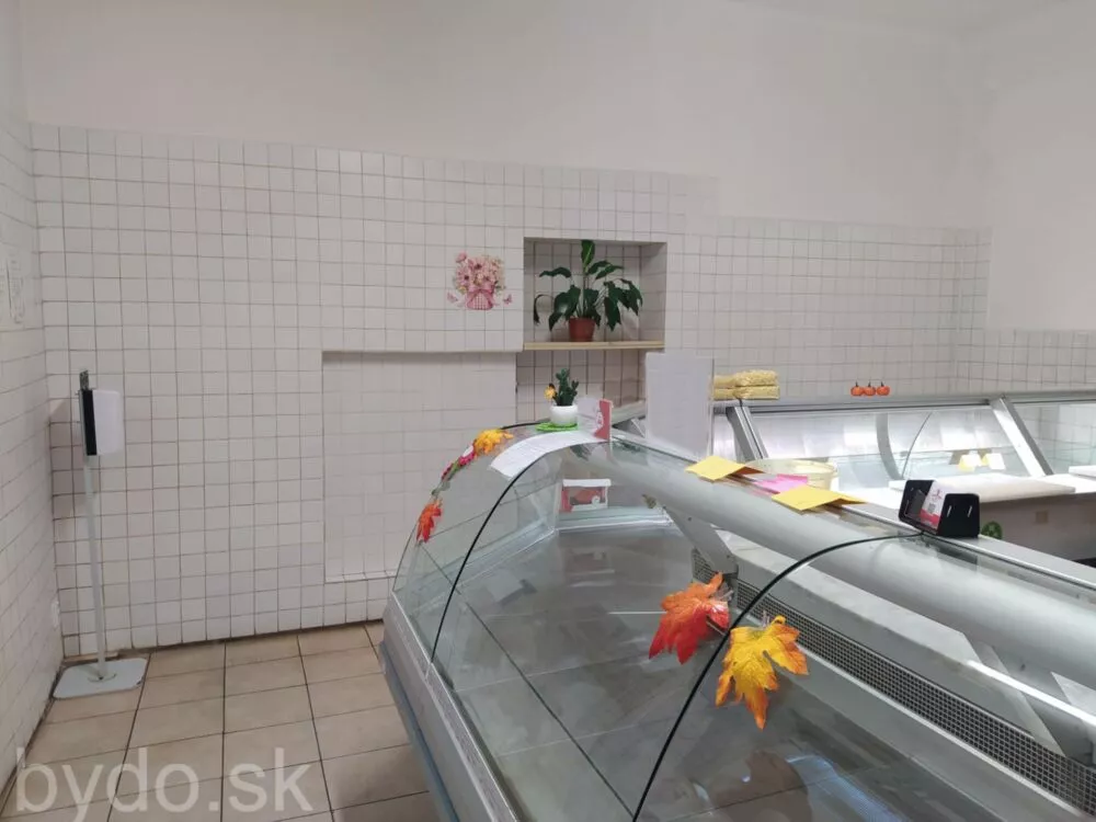 Nájomný dom na predaj 77m2, Šahy, 177871_20