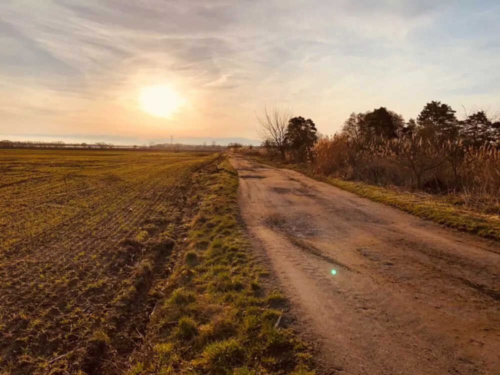 Nová Ponuka, 45 172 m² pri Levároch, 178196_0