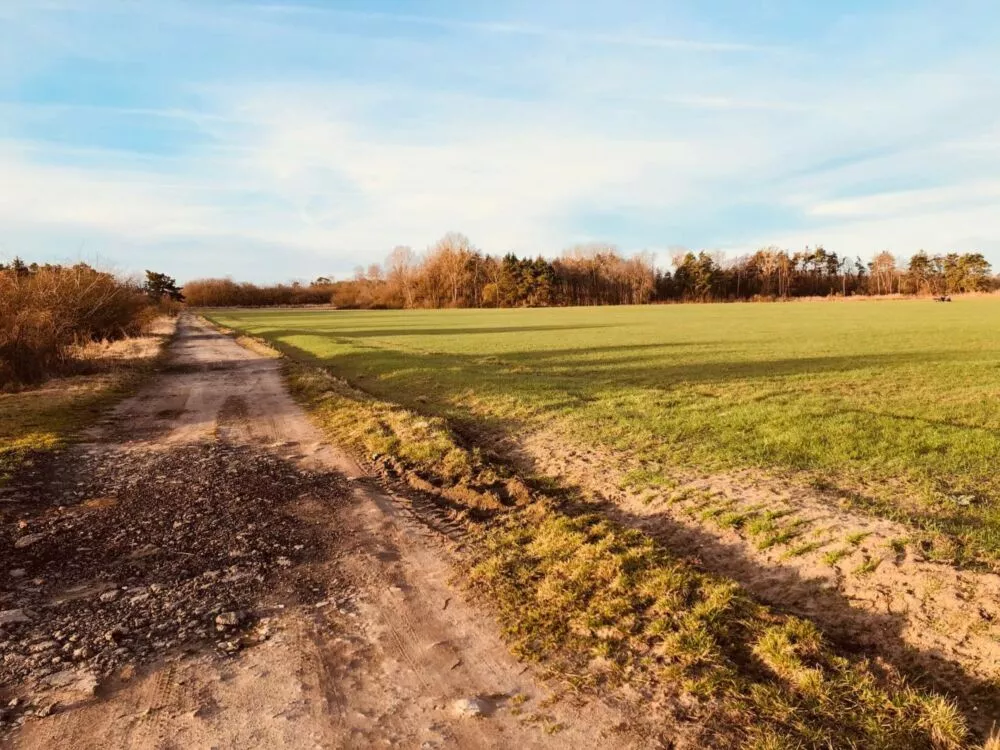 Nová Ponuka, 45 172 m² pri Levároch, 178196_1