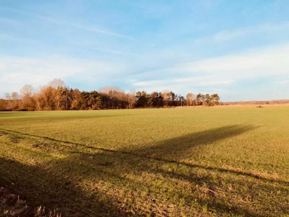 Nová Ponuka, 45 172 m² pri Levároch, 178196_2