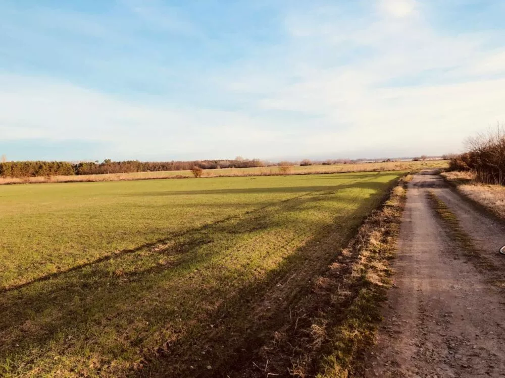 Nová Ponuka, 45 172 m² pri Levároch, 178196_3