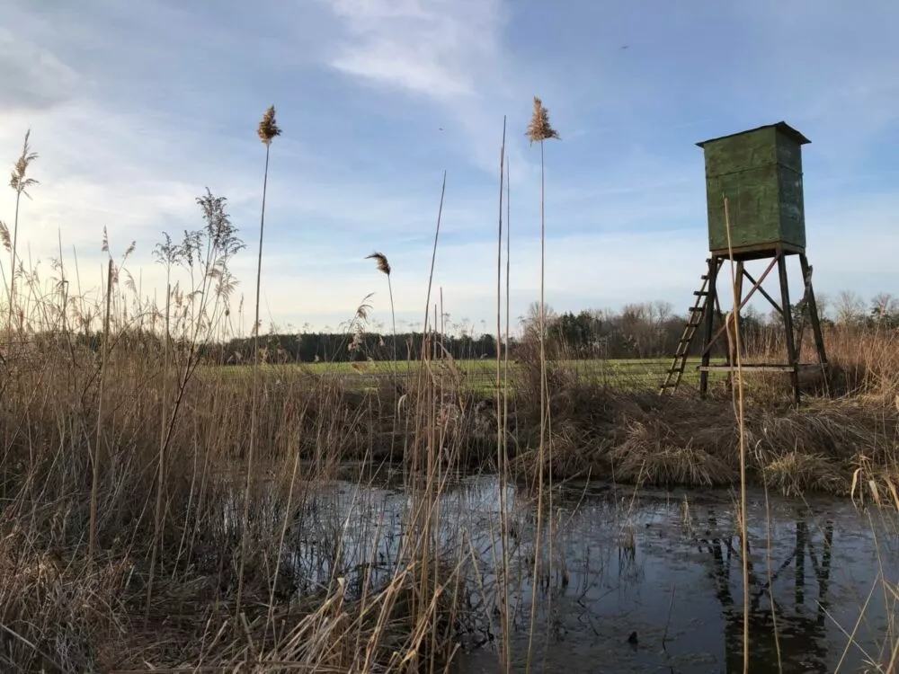 Nová Ponuka, 45 172 m² pri Levároch, 178196_5