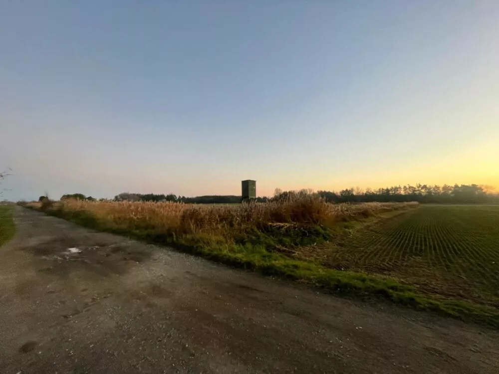 Nová Ponuka, 45 172 m² pri Levároch, 178196_6