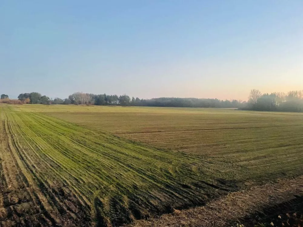 Nová Ponuka, 45 172 m² pri Levároch, 178196_7