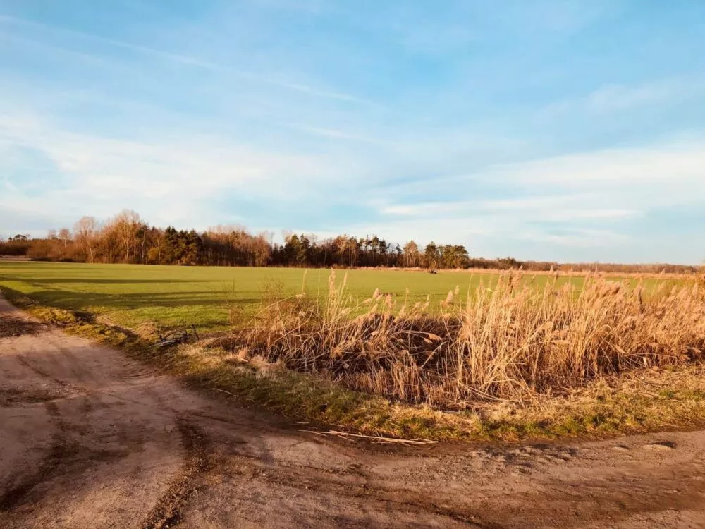 Nová Ponuka, 45 172 m² pri Levároch, 178196_9