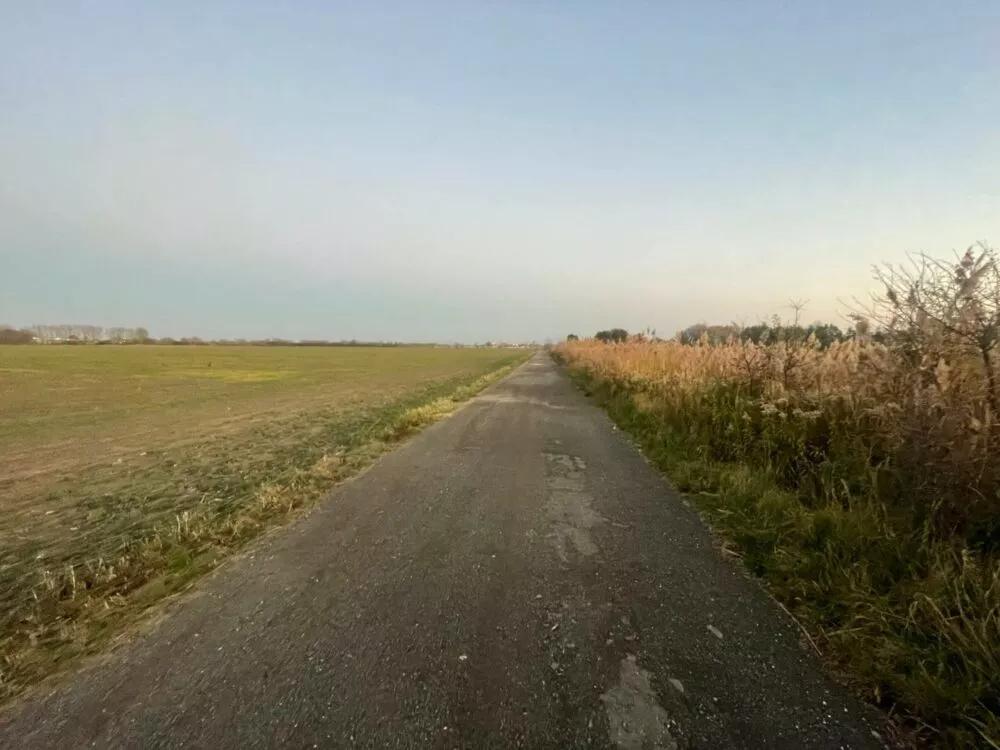 Nová Ponuka, 45 172 m² pri Levároch, 178196_10