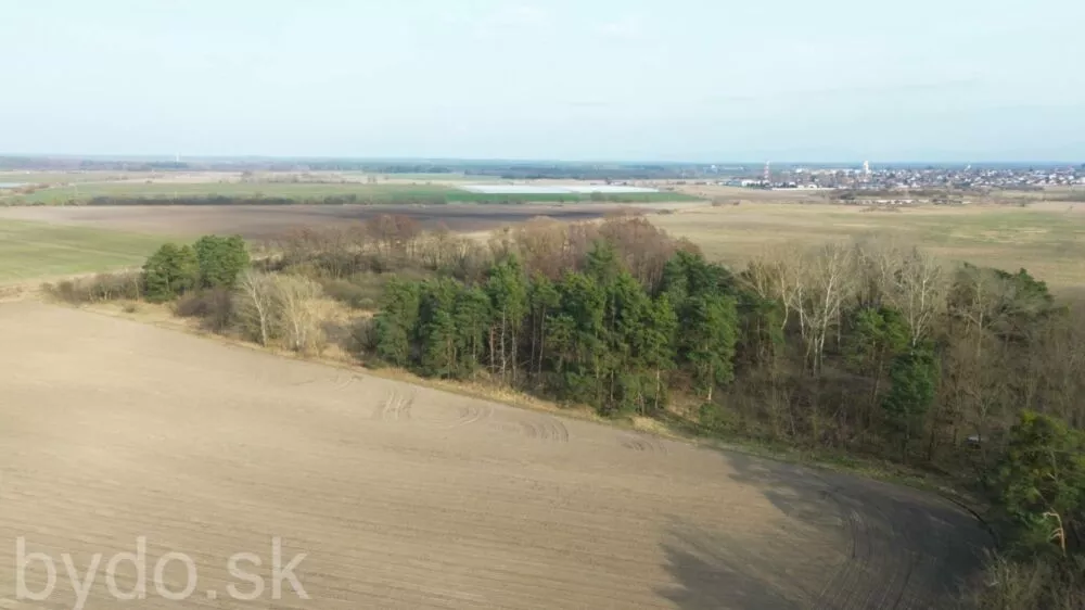 Nová Ponuka, 45 172 m² pri Levároch, 178196_11