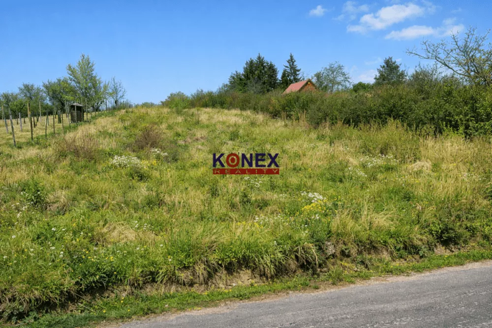 ID-3559 NA PREDAJ Rekreačný pozemok SEČOVCE, 178211_0