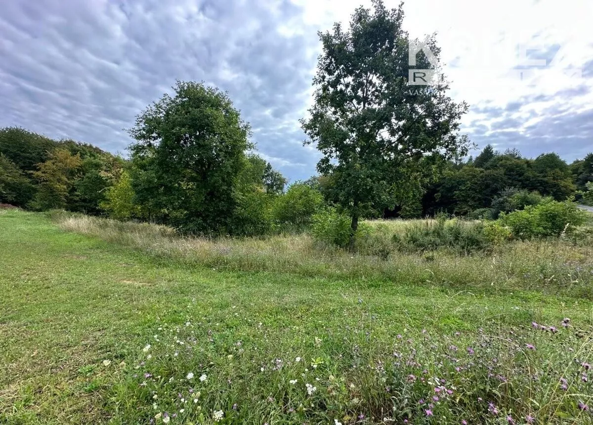 ID-3834 POZEMOK neďaleko Prešova - Šarišská Poruba, 180005_0