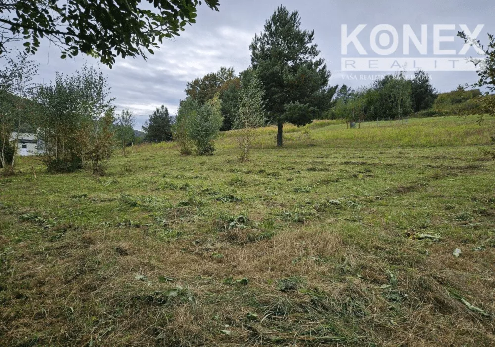 ID-3989 POZEMOK na výstavbu - VEĽKÝ ŠARIŠ, 181046_3