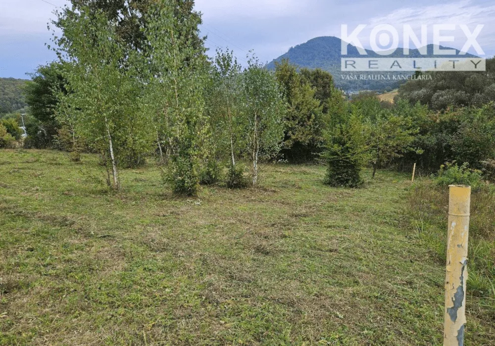 ID-3989 POZEMOK na výstavbu - VEĽKÝ ŠARIŠ, 181046_6