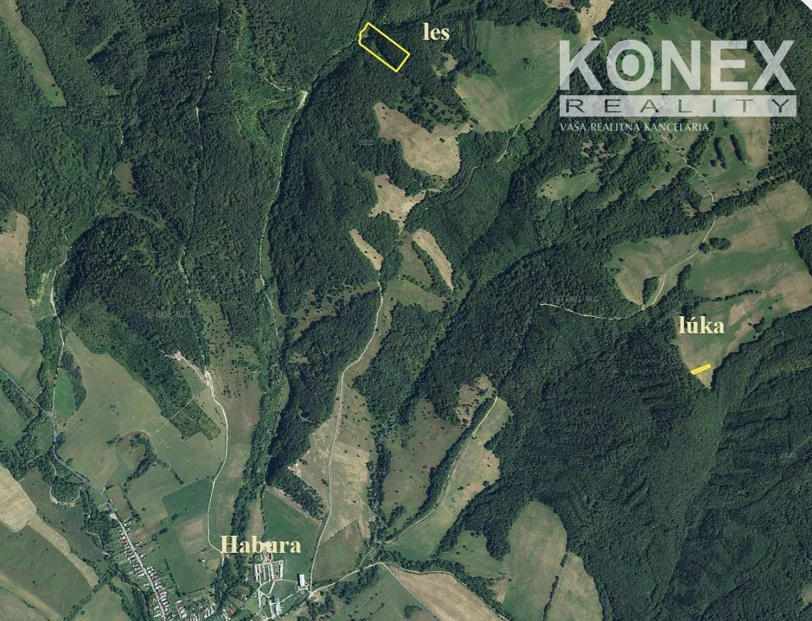 ID-4105 NA PREDAJ LESNÝ pozemok a TTP v k. ú. HABURA, 181522_0
