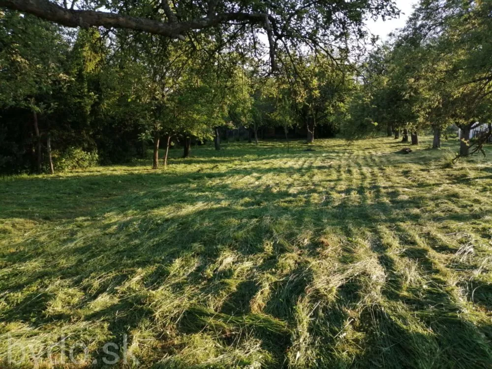 Chata a chalupa na predaj, Kostolné, 84844_9